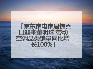京东家电家居惊喜日迎来董明珠 带动空调品类销量同比增长100%