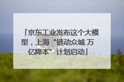 京东工业发布这个大模型，上海“链动众城 万亿降本”计划启动