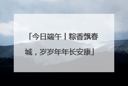 今日端午丨粽香飘春城，岁岁年年长安康