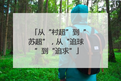 从“村超”到“苏超”，从“追球”到“追求”