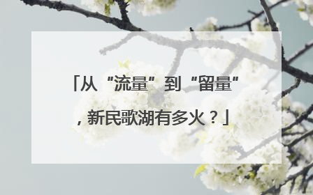 从“流量”到“留量”，新民歌湖有多火？