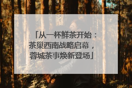 从一杯鲜茶开始：茶巢西南战略启幕，蓉城茶事焕新登场