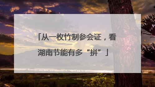从一枚竹制参会证，看湖南节能有多“拼”