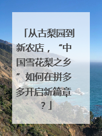从古梨园到新农店，“中国雪花梨之乡”如何在拼多多开启新篇章？