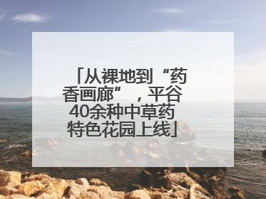 从裸地到“药香画廊”，平谷40余种中草药特色花园上线