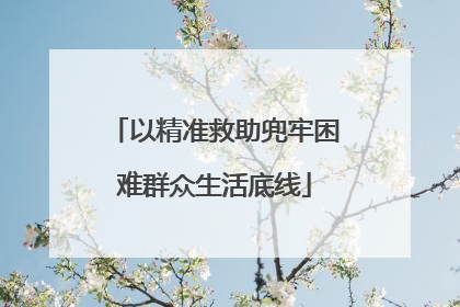 以精准救助兜牢困难群众生活底线