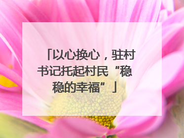 以心换心，驻村书记托起村民“稳稳的幸福”