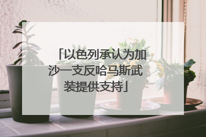 以色列承认为加沙一支反哈马斯武装提供支持