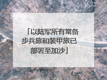 以陆军所有常备步兵旅和装甲旅已部署至加沙