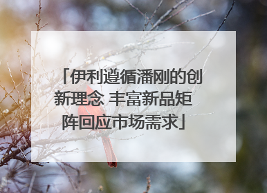 伊利遵循潘刚的创新理念 丰富新品矩阵回应市场需求
