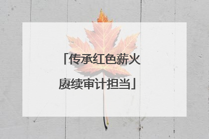 传承红色薪火 赓续审计担当