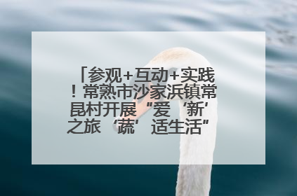参观+互动+实践！常熟市沙家浜镇常昆村开展“爱‘新’之旅‘蔬’适生活”参观学习活动