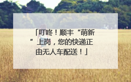 叮咚！顺丰“萌新”上岗，您的快递正由无人车配送！