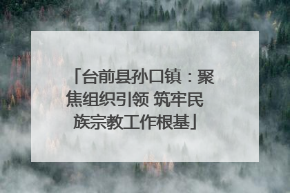 台前县孙口镇：聚焦组织引领 筑牢民族宗教工作根基