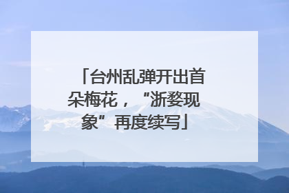 台州乱弹开出首朵梅花，“浙婺现象”再度续写