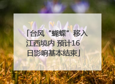 台风“蝴蝶”移入江西境内 预计16日影响基本结束