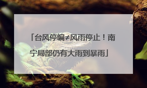 台风停编≠风雨停止！南宁局部仍有大雨到暴雨