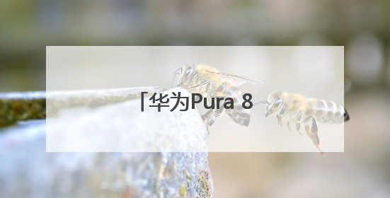 华为Pura 80系列今日开启预约！外观首次亮相：超大三角镜头模组