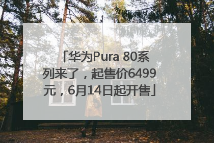 华为Pura 80系列来了，起售价6499元，6月14日起开售