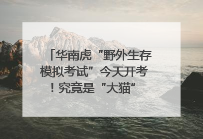 华南虎“野外生存模拟考试”今天开考！究竟是“大猫” 还是顶级猎食者？