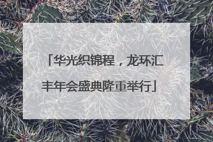 华光织锦程，龙环汇丰年会盛典隆重举行