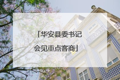 华安县委书记会见重点客商