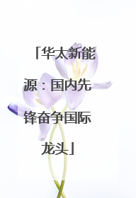 华太新能源：国内先锋奋争国际龙头