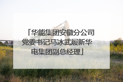 华能集团安徽分公司党委书记马冰武履新华电集团副总经理