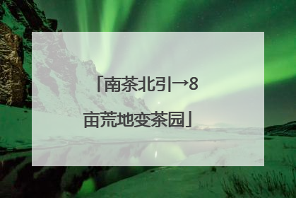 南茶北引→8亩荒地变茶园