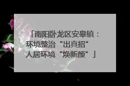 南阳卧龙区安皋镇：环境整治“出真招” 人居环境“焕新颜”