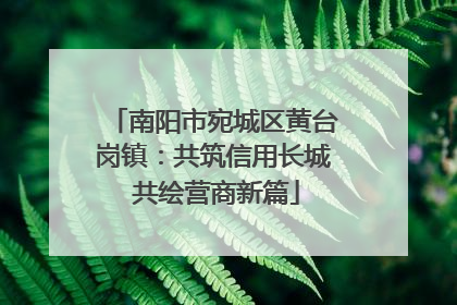 南阳市宛城区黄台岗镇：共筑信用长城 共绘营商新篇