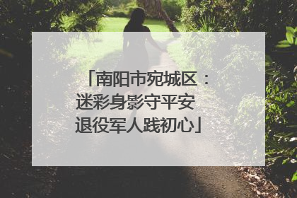 南阳市宛城区：迷彩身影守平安 退役军人践初心