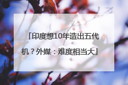 印度想10年造出五代机？外媒：难度相当大