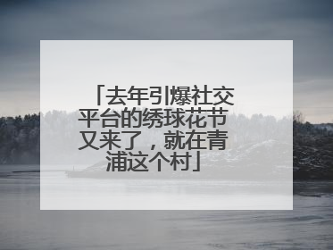 去年引爆社交平台的绣球花节又来了，就在青浦这个村