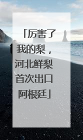 厉害了我的梨，河北鲜梨首次出口阿根廷