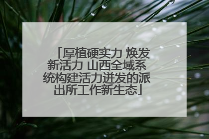 厚植硬实力 焕发新活力 山西全域系统构建活力迸发的派出所工作新生态
