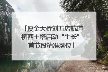 厦金大桥刘五店航道桥西主塔启动“生长” 首节段精准落位