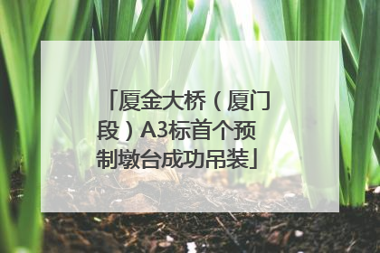 厦金大桥（厦门段）A3标首个预制墩台成功吊装