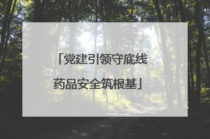 党建引领守底线 药品安全筑根基