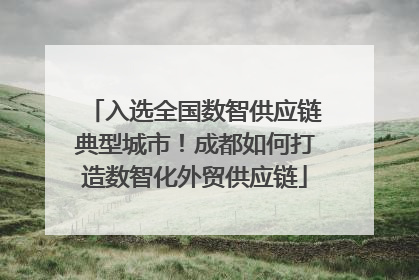 入选全国数智供应链典型城市！成都如何打造数智化外贸供应链