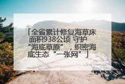 全省累计修复海草床面积938公顷 守护“海底草原”，织密海底生态“一张网”