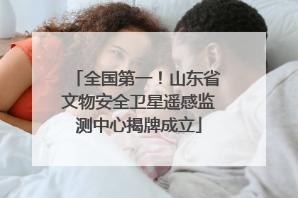 全国第一！山东省文物安全卫星遥感监测中心揭牌成立