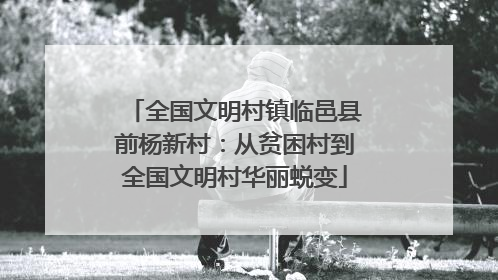全国文明村镇临邑县前杨新村：从贫困村到全国文明村华丽蜕变