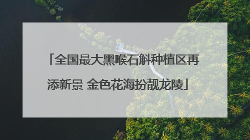 全国最大黑喉石斛种植区再添新景 金色花海扮靓龙陵
