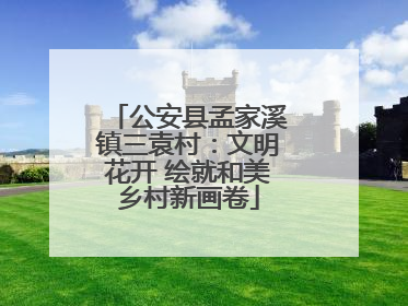 公安县孟家溪镇三袁村：文明花开 绘就和美乡村新画卷