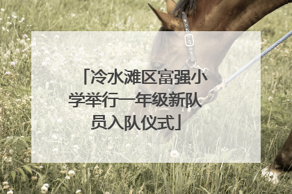 冷水滩区富强小学举行一年级新队员入队仪式