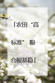 农田“高标准” 粮仓根基稳