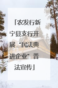 农发行新宁县支行开展“民法典进企业”普法宣传