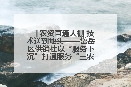 农资直通大棚 技术送到地头——岱岳区供销社以“服务下沉”打通服务“三农”最后一公里