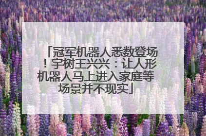 冠军机器人悉数登场！宇树王兴兴：让人形机器人马上进入家庭等场景并不现实